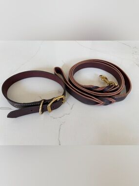 Circle T Brown Leather Dog Leash and Collar Set with Gold Hardware